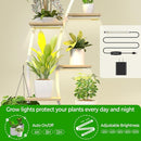 65-Inch Indoor Plant Stand with 8 Grow Lights – 10-Tier White Half Moon Shelf