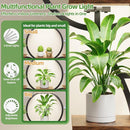 63-Inch Tall Indoor Plant Stand with Grow Lights – 10-Tier Plant Display Shelf