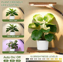 10-Tier Indoor Plant Stand with LED Light – Metal Frame & Wood Shelves