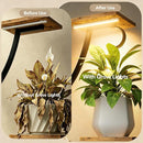 8-Tier Indoor Plant Stand with Grow Lights – Lighted Plant Shelf