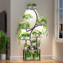 8-Tier Indoor Plant Stand with Grow Lights – 62-Inch S-Shaped Corner Plant Shelf