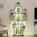 63-Inch Tall Indoor Plant Stand with Grow Lights – 10-Tier Plant Display Shelf