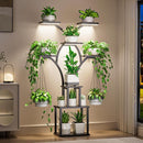 8-Tier Indoor Plant Stand with Grow Light – 60-Inch Tall Plant Shelf