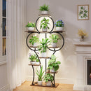 63-Inch Tall Indoor Plant Stand with Grow Lights – 10-Tier Plant Display Shelf