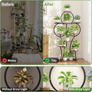 63-Inch Tall Indoor Plant Stand with Grow Lights – 10-Tier Plant Display Shelf