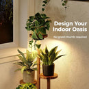 4-Tier Indoor Wood Plant Stand with LED Grow Lights – Brown